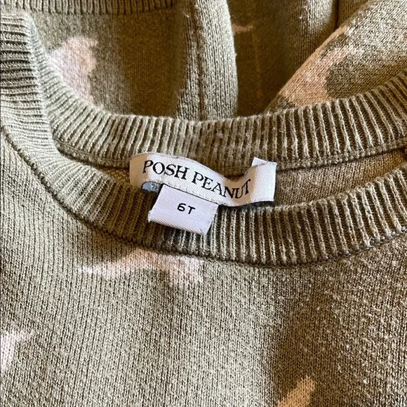 Posh Peanut “Buddy” Dinosaur Print Sweater - Picture 2 of 3